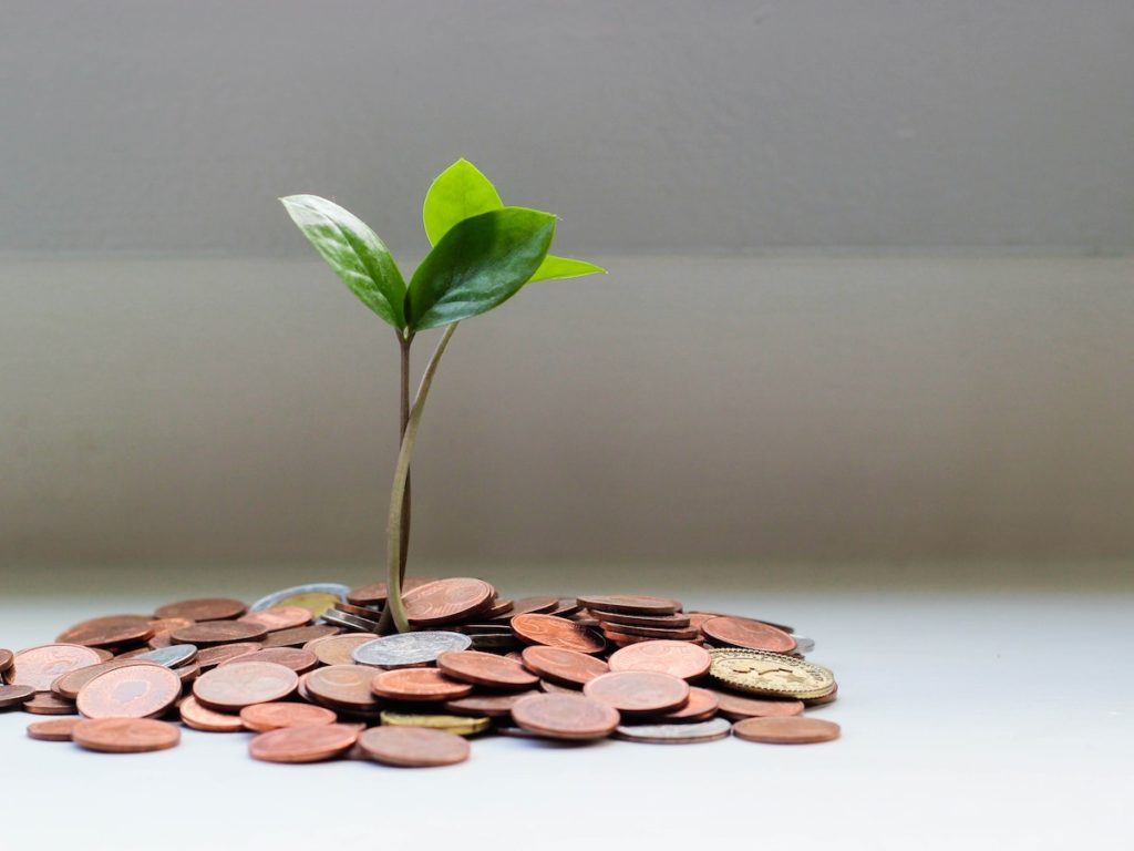 Geld besparen met een groentetuin
