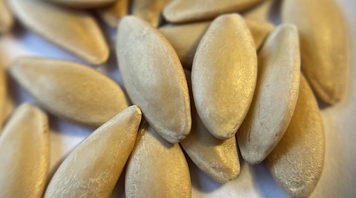 Pickle seeds